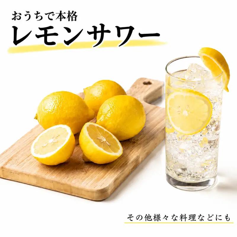 【先行予約】訳あり レモン 3kg サイズ カラー ミックス 清水農園 愛南町 愛媛県