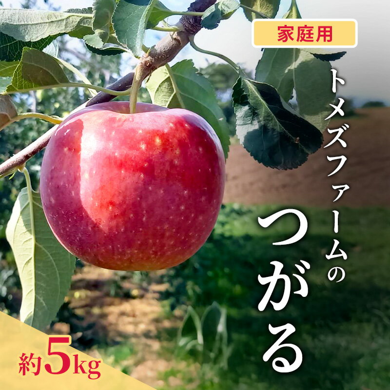 【ふるさと納税】つがる（家庭用） 約5kg（15～20玉入り）トメズファーム　りんご　長野　信州　小諸　果物　フルーツ　お届け：2026年9月より順次発送致します。