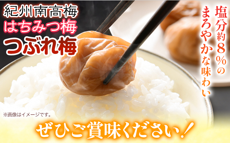 《加工食品カテゴリ上位ランクイン！》南高梅 はちみつ 梅 紀州南高梅 つぶれ 梅干し 2kg 有限会社プラム《30日以内に出荷予定(土日祝除く)》和歌山県 日高町 送料無料 梅 うめ ウメ 南高梅 つ