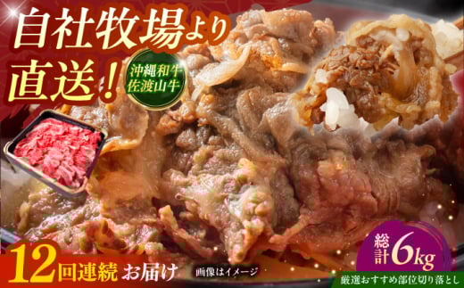 【全12回定期便】【厳選！おすすめ部位】沖縄和牛 佐渡山牛 切り落とし 500g 牛肉 焼肉 焼き肉 和牛 赤身 沖縄市 / 肉のサブロー [BCBC010]