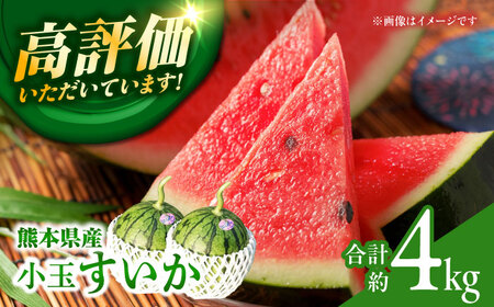 小玉すいか スイカ 2玉 令和8年産 ZCN005
