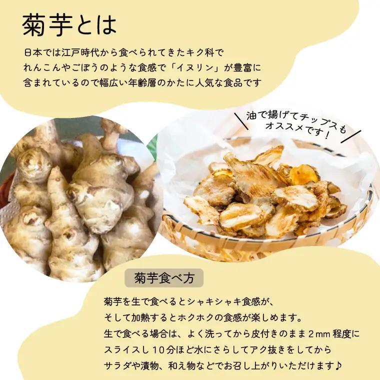 菊芋堀り 体験 （10kgまでお持ち帰りいただけます） 芋ほり 芋掘り お持ち帰り お土産 みやげ 粉末 パウダー イヌリン 国産 いも 菊芋茶 菊芋チップス SDGs エコ サスティナブル 農薬不使