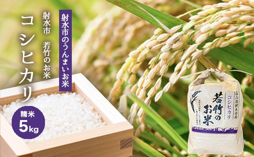 
                  【R8年度産米 新米予約】 [選べる人気のブランド米]コシヒカリ「若竹のお米 」　5kg 【精米】｜米 こめ コメ こしひかり 先行予約 予約 新米 白米 ブランド米 銘柄米 人気 ランキング 富山 富山米 北陸 北陸米 富山コシヒカリ 北陸コシヒカリ 精米コシヒカリ 5キロ 5キロ米 5kg 5kg米 ※離島への配送不可 ※2026年10月上旬～10月下旬頃に順次発送予定
                