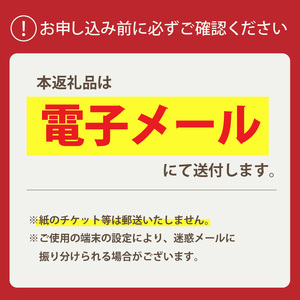 HISふるさと納税宿泊予約専用クーポン（東京都江東区）9,000円分【kt083-001-3】旅行 宿泊 ｸｰﾎﾟﾝ ﾁｹｯﾄ ﾌﾟﾗﾝ ﾄﾗﾍﾞﾙ 家族旅行