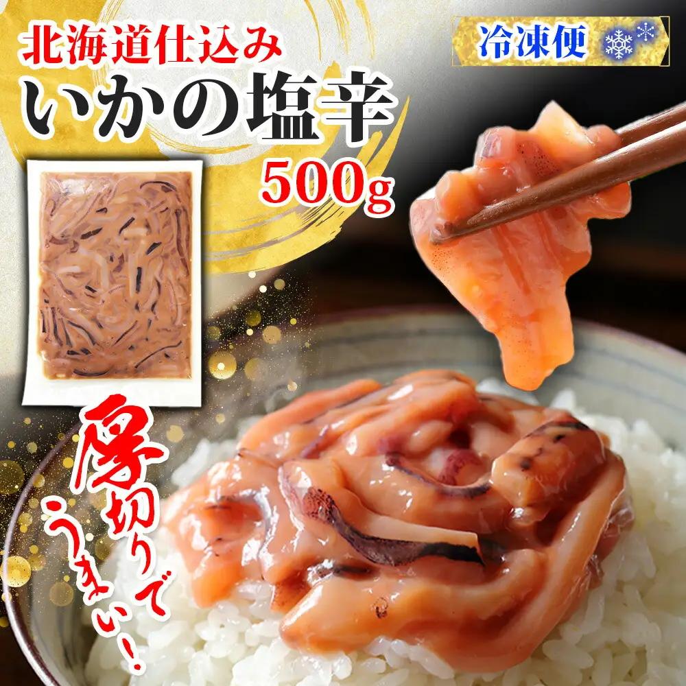 イカの塩辛 500g イカ スルメイカ いか 珍味 海鮮 魚介 塩辛 ご飯のお供 烏賊 送料無料 北海道 弟子屈町 3163