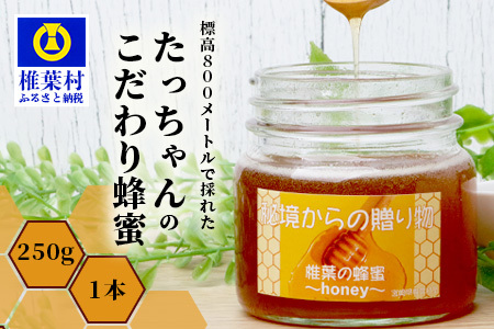 標高800m たっちゃんのこだわり蜂蜜【250g×1本】 蜂蜜 はちみつ ハチミツ みつばち ミツバチ 伝統的 養蜂 国産 天然 百花蜜 巣箱 数量限定 季節 希少 250g 蜂蜜 はちみつ ハチミツ