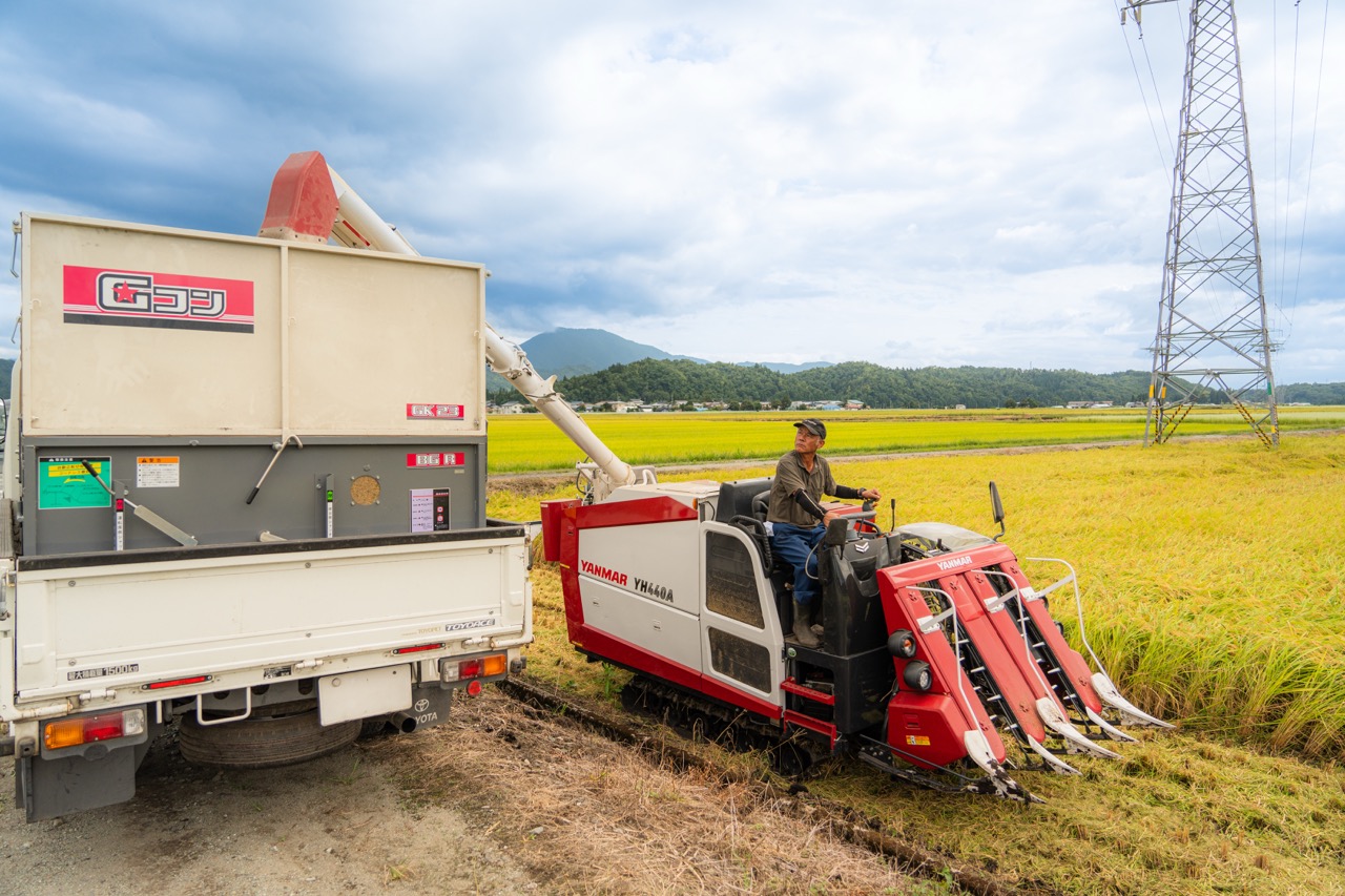 米 お米 玄米 10kg ひとめぼれ 【1週間程度で発送・年内発送】 令和7年産 gt-higxx10 山形県産 ご入金確認後、1週間程度で発送