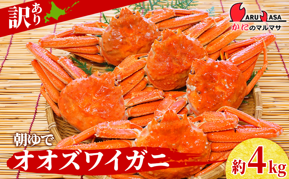 北海道産【 朝ゆで 】訳ありオオズワイガニ 4.0kg詰 ＜かにのマルマサ＞道産品 オオズワイ ズワイガニ ずわい蟹 カニ 蟹 規格外品 不揃い 訳アリ 訳有り