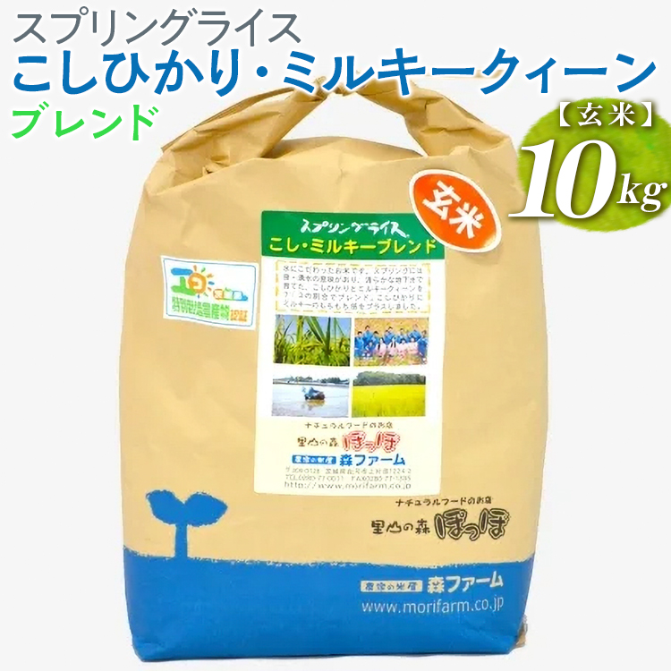 【新米】スプリングライス こしひかり・ミルキークィーン ブレンド (玄米)10kg ※着日指定不可 | 米 こめ コメ 10キロ 玄米 ブレンド米 こしひかり コシヒカリ ミルキークイーン みるきーくいーん もちもち 古河市産 茨城県産 取り寄せ お取り寄せ ギフト 贈答 贈り物 プレゼント お中元 お歳暮 茨城県 古河市 直送 農家直送 産地直送 _BI70