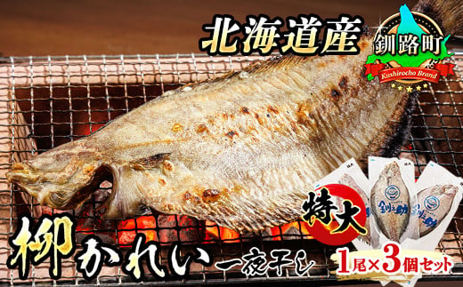 
            北海道産 特大 柳かれい 一夜干し 1尾×3個セット | おつまみ 焼魚 焼き魚 定食 魚 干物 セット ひもの 冷凍 人気の 訳あり！ スピード発送 年内配送 年内発送 北海道 釧路町 釧路超 特産品
          