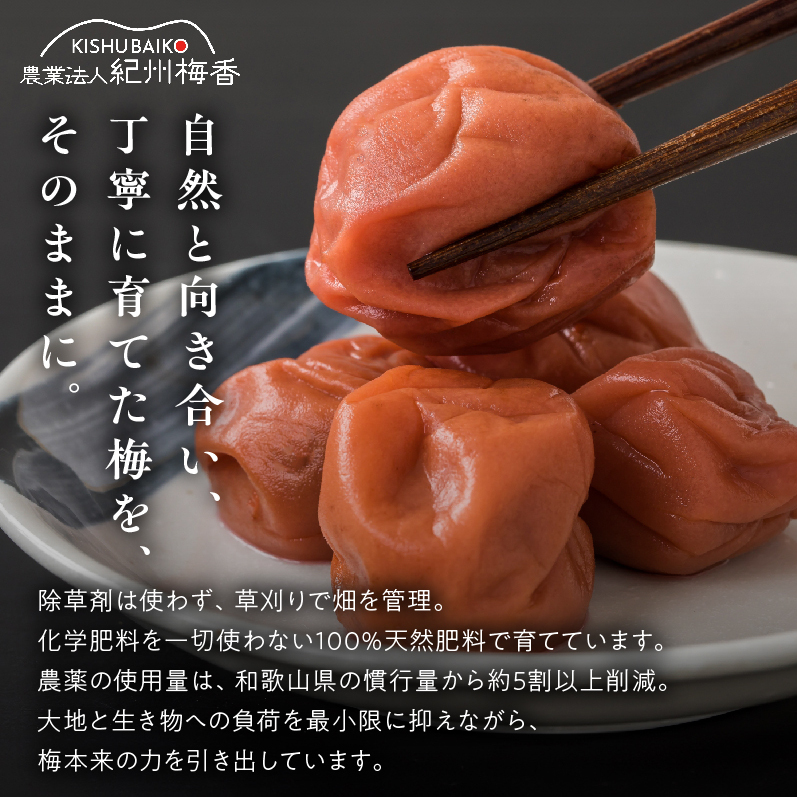 梅干し 訳あり減塩梅干 塩分3% 約1kg_KS1000_イメージ4