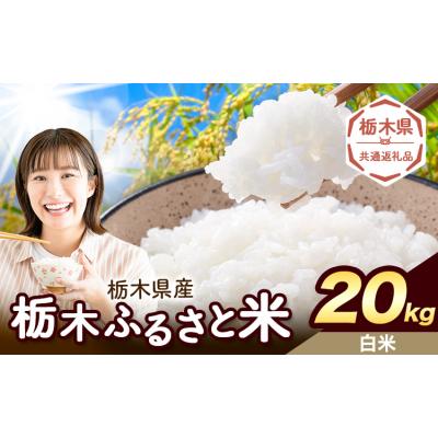 ふるさと納税 野木町 栃木ふるさと米 白米 20kg 栃木県 野木町《1-5日以内》【栃木県共通返礼品】