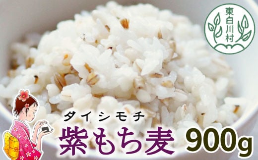 東白川村産 紫もち麦 ダイシモチ 900g もち麦 麦 大麦 雑穀 お米 こめ 精米 ご飯 食物繊維 お取り寄せ 5000円
