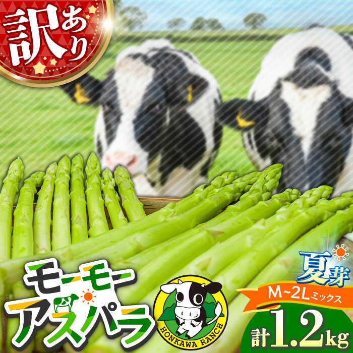 【ふるさと納税】【先行予約・訳あり】モーモーアスパラ 夏芽 M / L / 2L セット 1.2kg（6月上旬から順次発送） 酪農 牧場 こだわり アスパラガス 大分県 野菜 やさい グリーンアスパラ 日田市 / 株式会社本川牧場 [ARAI034]