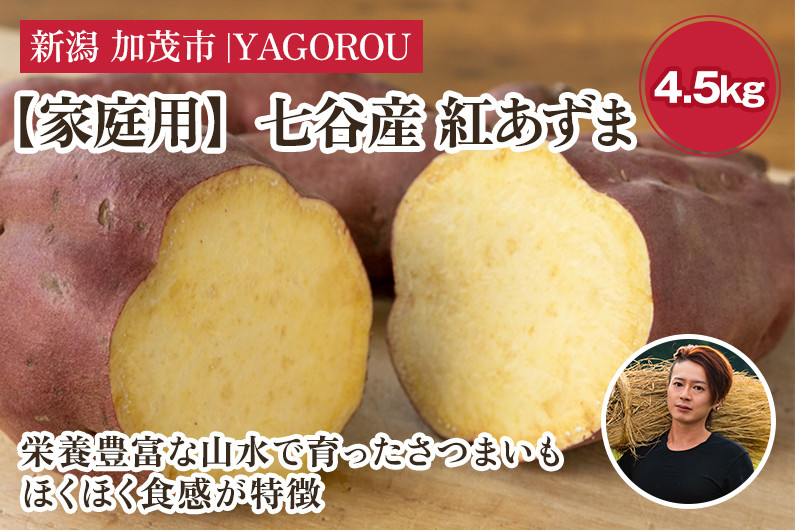 
            【家庭用】紅あずま 4.5kg（A品・B品混在） 新潟県加茂市七谷産 さつまいも《10月下旬〜順次発送》 サツマイモ お芋 焼き芋 スイートポテト 野菜 根菜 低温熟成 加茂市 YAGOROU ヤゴロウ
          