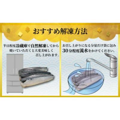 ふるさと納税 銚子市 【訳あり】塩さば(冷凍)約2.0kg　銚子東洋のさばフィーレ規格外 |  | 03