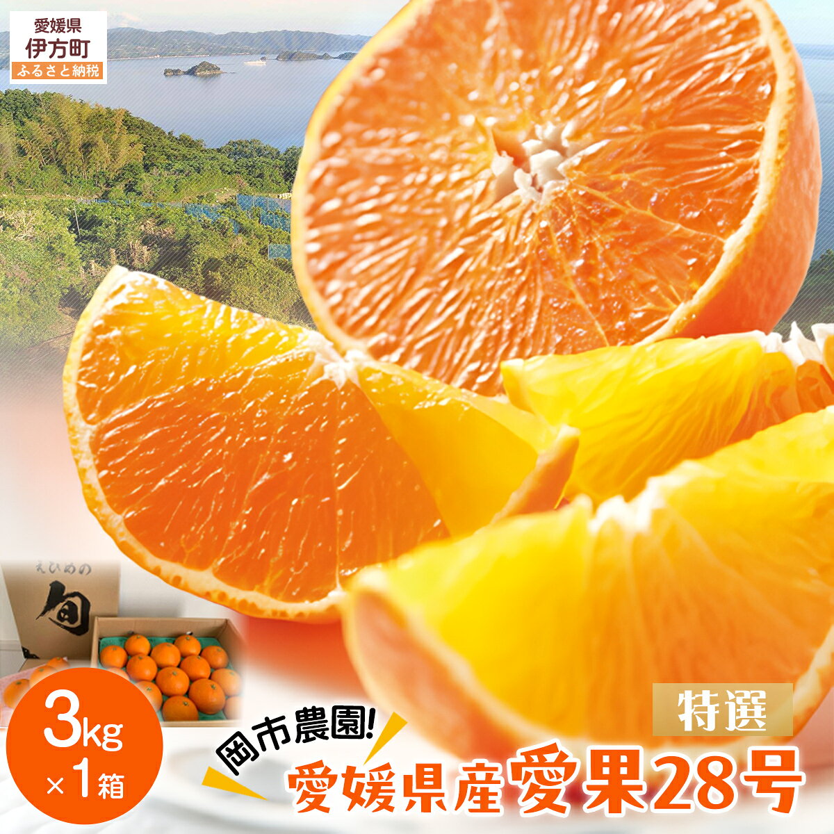 【ふるさと納税】【先行予約】【数量限定】岡市農園！愛媛県産 愛果28号（特選） 3kg×1箱（2026年12月中旬より順次発送）【ふるさと納税 人気 おすすめ ランキング 柑橘 みかん ミカン 蜜柑 愛果28号 紅 まどんな と同品種 果物 フルーツ 岡市農園 愛媛県産 】 IKTV004
