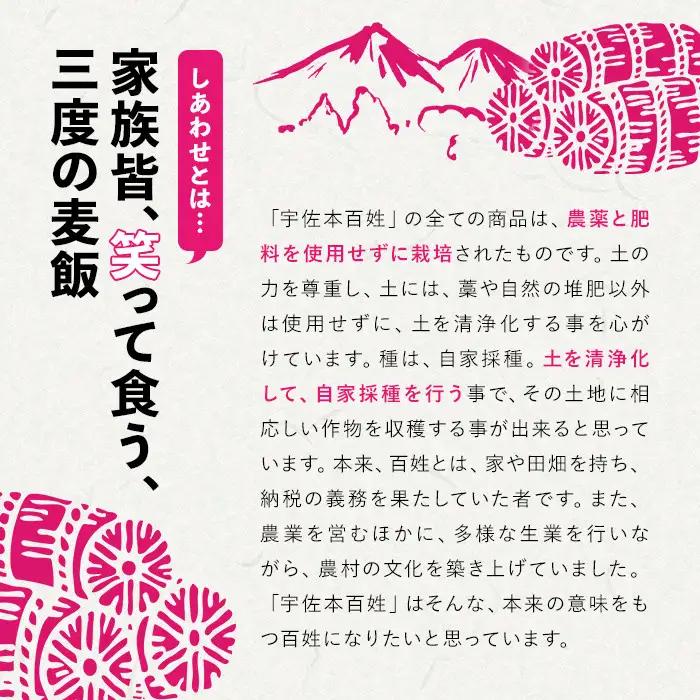 ＜先行予約受付中！2026年11月上旬以降順次発送予定＞＜令和8年産＞しあわせ米 精米(計5kg) お米 白米 5キロ 常温 常温保存 【101000502】【宇佐本百姓】