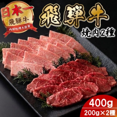 プチ贅沢!飛騨牛焼肉2種セット2人前 400g(各200g)【配送不可地域：離島】