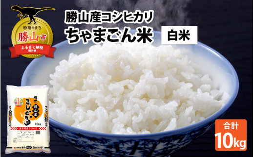 【令和8年産 新米】勝山産 コシヒカリ ちゃまごん米 精米 10kg  | 米 コシヒカリ 新米 精米 令和8年産 福井県産 福井県 勝山市 ちゃまごん米 ブランド米 国産米 10kg お米 主食 農家直送 お取り寄せ 北陸 ごはん 美味しいお米 甘いお米 人気 おすすめ [B-010018]
