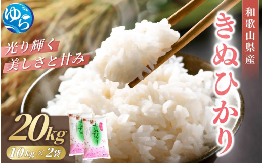 【2025年産】米 キヌヒカリ 20kg(10kg×2) 和歌山県産 / お米 きぬひかり 白米 由良町 令和6年 人気 おすすめ【sml910A】