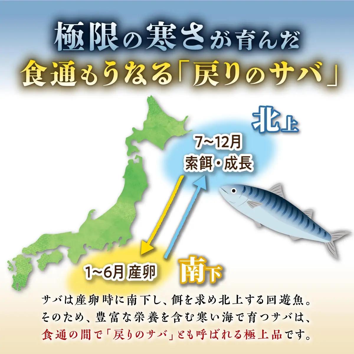 国産 しめ鯖 4枚 （お試し小サイズ） 料亭で味わうまるで「生」のようなしめ鯖をご自宅で。ふるさと納税 北海道 魚 海鮮 しめ鯖 〆鯖 シメサバ しめさば ふるさと納税 魚 北海道 〆鯖 しめさば シ