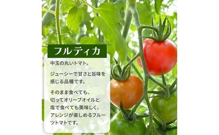 栃木県 鹿沼産 高糖度 フルーツトマト ”とまおとめ” フルティカ 1kg ｜ 野菜 トマト 濃厚 カキヌマファーム とまおとめ フルティカ 濃厚 甘み 旨み 入手困難 贈り物 栃木県 鹿沼市 ※20