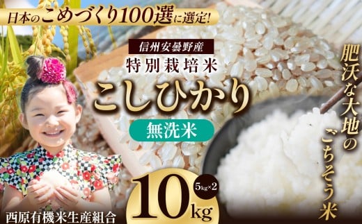 特別栽培米 松川村産 こしひかり 無洗米 約10Kg | 米 こめ コメ お米 白米 はくまい 無洗米 コシヒカリ こしひかり 特別栽培米 エコ 長野県 松川村 信州