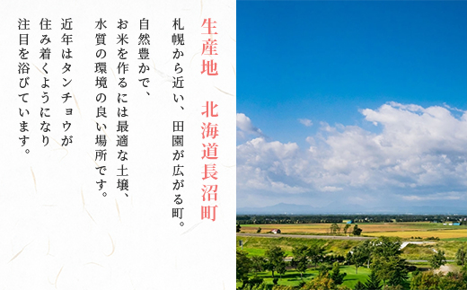 【令和7年産先行予約】北海道長沼産 ゆめぴりか 5kg 精米