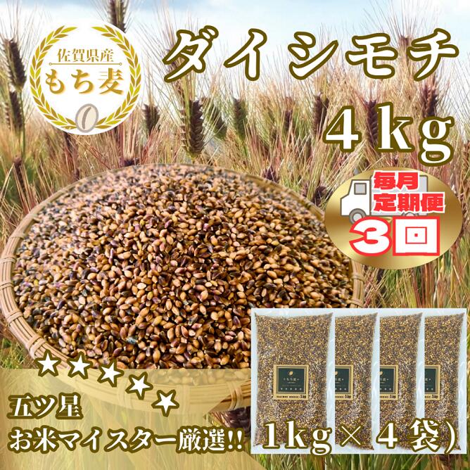 【ふるさと納税】【3回定期便】ダイシモチ4kg もち麦 キラリ もち麦ごはん（CIB42）