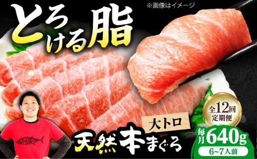 【全12回定期便】極上！たね熟天然本まぐろ大トロ(640g) 天然 マグロ 鮪 大トロ 刺身 魚 魚介 魚介類 海鮮丼 本マグロ 本まぐろ 本鮪 赤身 大トロ 冷凍 お刺身 お寿司 大阪府高槻市/本まぐろ直売所 [AOCE027] 本マグロ 刺身 寿司 海鮮 旨み 切り身 鮮度抜群 海鮮丼 お取り寄せ 高級魚 ギフト 贈答用 海の幸 家飲み ごちそう おつまみ 炙り 手巻き寿司 お祝い パーティー