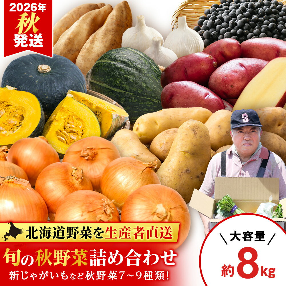 【ふるさと納税】2026年発送 旬の秋野菜詰め合わせ 約8kg《土居ファーム》 野菜 かぼちゃ じゃがいも たまねぎ 南瓜 玉ねぎ セット【北海道千歳市】ギフト ふるさと納税