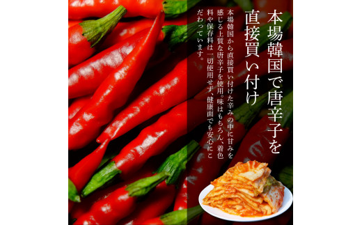 TKA032　高知老舗焼肉店 天下味 “ちょっと高いけど、本当に美味しいチゲ鍋の素と、手作り生白菜キムチ・生大根キムチ・生胡瓜キムチ” セット -  チゲ鍋の素360g (約6人前) _イメージ4
