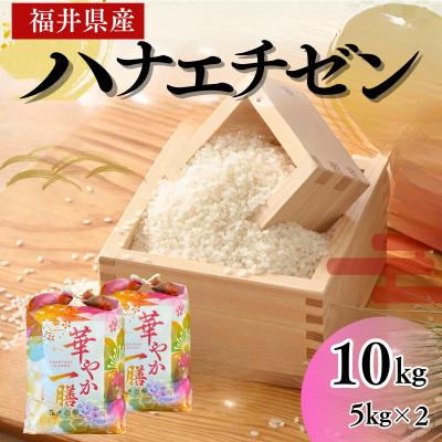 ふるさと納税 小浜市 令和7年産新米　福井県産ハナエチゼン白米　10kg