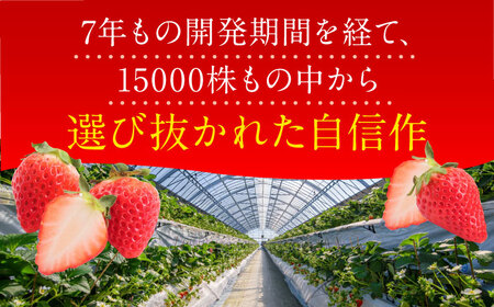 ＜佐賀県産いちご＞いちごさん 2パック（450g×2） 佐賀県/JAからつ 唐津うまかもん市場[41ABCA002]