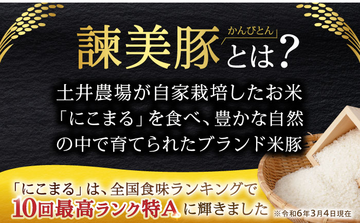 諫美豚 切り落とし 1.5kg / 豚 豚肉 切り落とし 小分け / 諫早市 / 株式会社土井農場 [AHAD061]