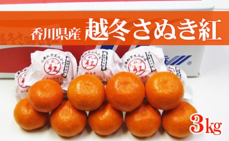 みかん 越冬完熟さぬき紅みかん みかん【約3kg】