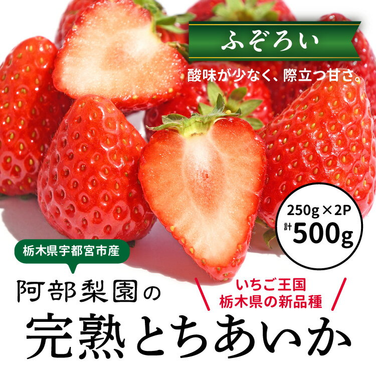 【ふるさと納税】阿部梨園の完熟とちあいか（ふぞろい）250g×2パック ｜ いちご イチゴ 苺 大粒 大きい 赤い 甘い ジューシー 高級 評判 新鮮 フルーツ 果物 スイーツ ジャム アレンジ 好評 人気 アフター対応あり 生産量 日本一 栃木県産 糖度 食べ比べ 完熟 産地直送