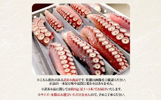 煮タコ足セット 訳あり 約1.0kg