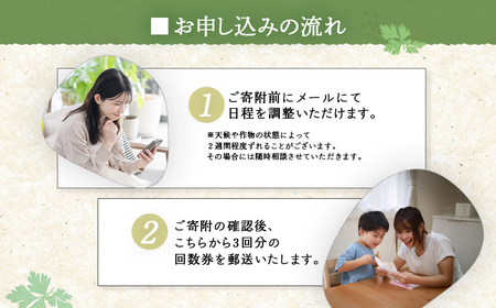 W03508 季節をぐるり　里山の無農薬•無肥料栽培田畑の農作業体験　里山の季節の軽食つき ふるさと納税 農作業 農作物 体験 田んぼ 自然 自然体験 年3回 千葉県 大多喜町