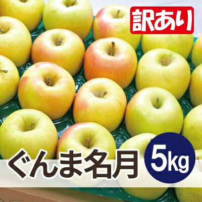 【ふるさと納税】【26年1月~2月出荷】平均糖度13度以上! ぐんま名月 約5kg 訳あり りんご 青森県産【配送不可地域：離島・沖縄県】【1612893】