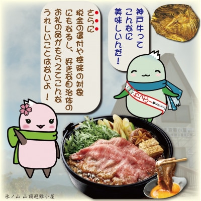神戸牛 しゃぶしゃぶ ＆ すき焼き用 かた ・ もも肉 計500g YBS2【配送不可地域：離島】