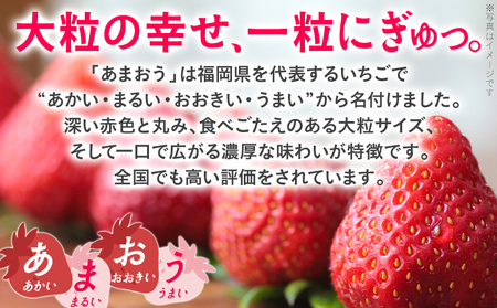あまおう いちご 大容量 1.5kg 250g×6パック 苺 フルーツ 果物 福岡 九州 グルメ お取り寄せ 3月上旬～4月上旬頃出荷予定