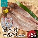 【ふるさと納税】ほっけ一夜干しセット ほっけ ホッケ 脂のり抜群 干物 魚 魚介 北海道 函館 はこだて