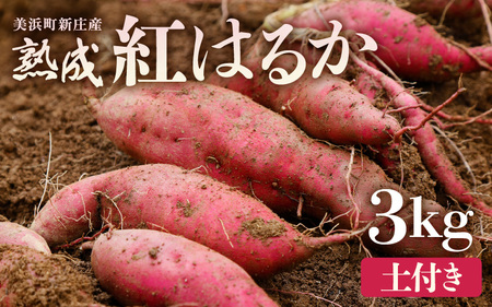 大谷原の熟成さつまいも（3kg 土付き) 約15本【入手困難・数量限定】【サツマイモ 芋 イモ 紅はるか べにはるか 熟成 甘い おいしい 国産 産地直送】 [m23-a002]