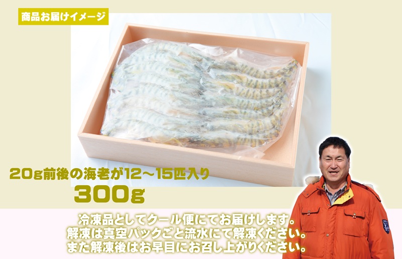 【生食可】泉州車えび 300g【先行予約】 015B391