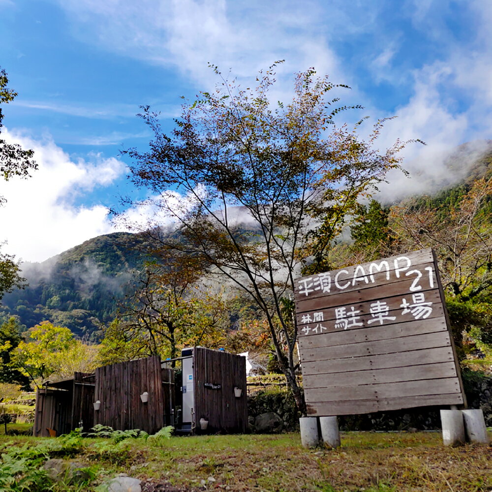 【ふるさと納税】宿泊プラン 林間サイト 薪付 1泊2日 山梨県 キャンプ キャンプ場 利用券 宿泊券 アウトドア 山梨県 身延町 送料無料