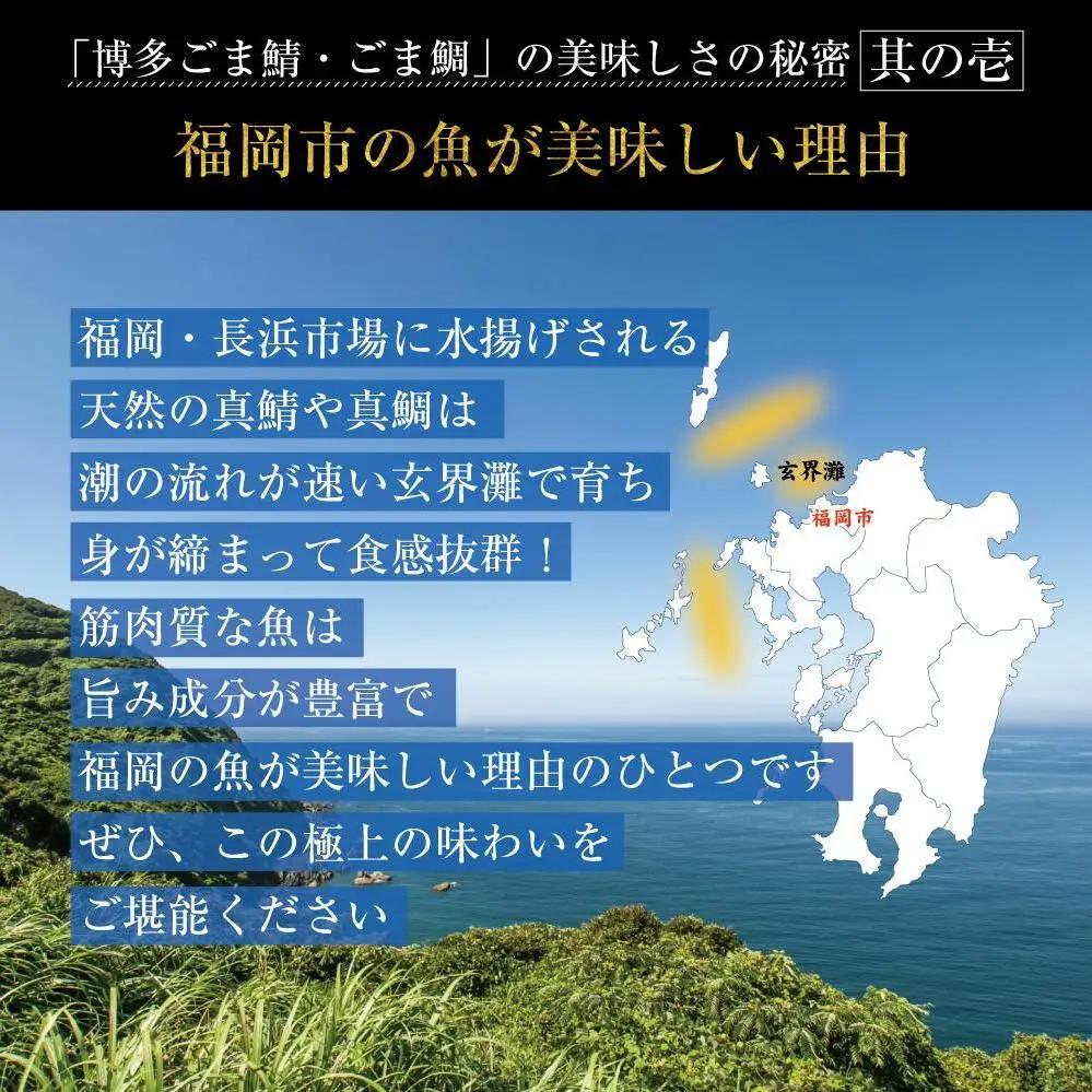 博多名物 ごま鯖 ごま鯛 2種 食べ比べ 各4パック セット 詰め合わせ 長浜市場水揚げ 小分け 天然 ごまさば 鯖 鯛 真鯖 真鯛 長浜市場 刺身 茶漬け 海鮮 お茶漬け お茶漬けの素 出汁茶漬け 