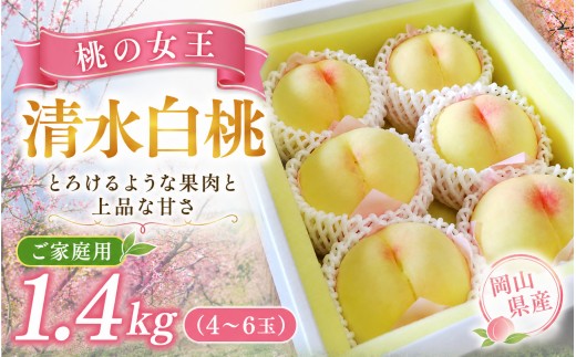 
                  桃【2026年先行予約】 完熟清水白桃 約1.4kg（4～6玉）｜ もも 桃 モモ 先行予約 フルーツ 果物 真庭市 フルーツ王国 岡山 桃 フルーツ 果物 もも モモ momo 白桃 岡山 フルーツ 果物 先行予約 数量限定 期間限定 岡山 真庭市 モモ もも 岡山県産 ご家庭用 もも 白桃 フルーツ 果物くだもの 清水白桃 もも モモ 完熟 きびもも園 真庭市【kbmm001】
                