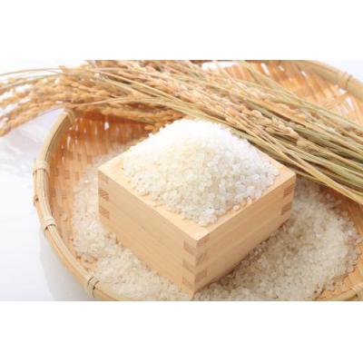 ふるさと納税 阿賀野市 【令和7年産】【3回定期便】「米屋のこだわり阿賀野市産」コシヒカリ2kg×3回 |  | 01